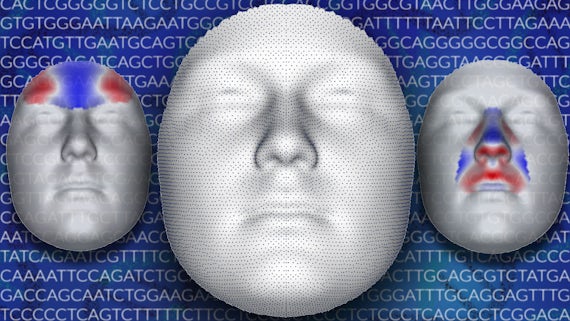 Genetic face map picture
