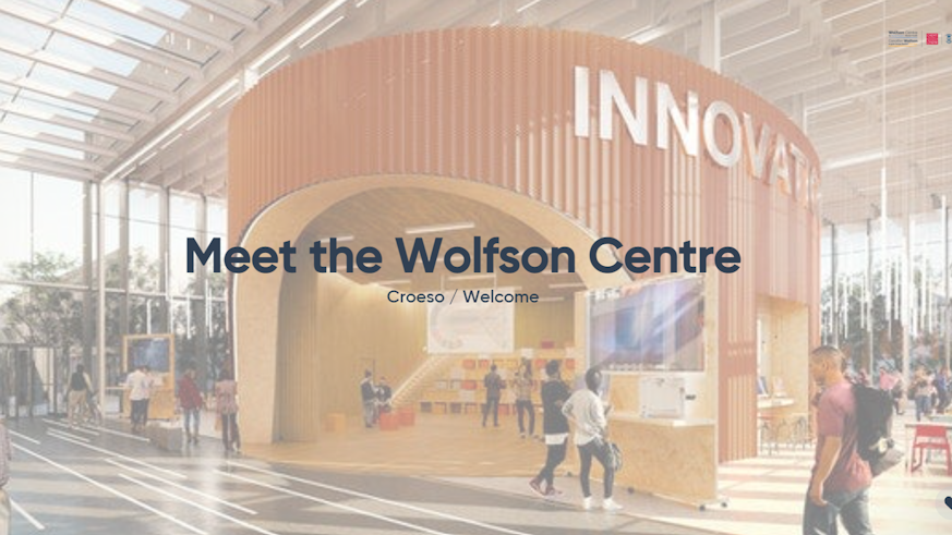 Screenshot from start of Meet the Wolfson Centre webinar