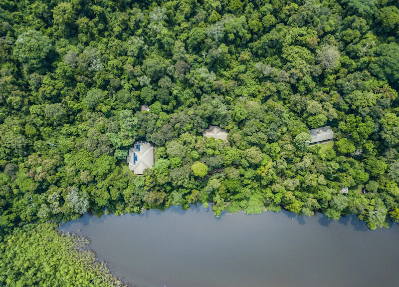 Cardiff-Danau