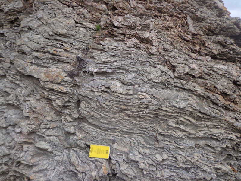 Exploring the kinetics of the seismic cycle