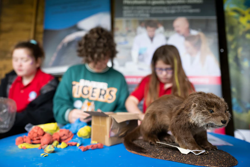 Children taking part in a science activity at the National Eisteddfod