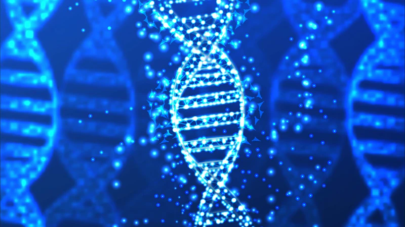Artistic interpretation of DNA helix