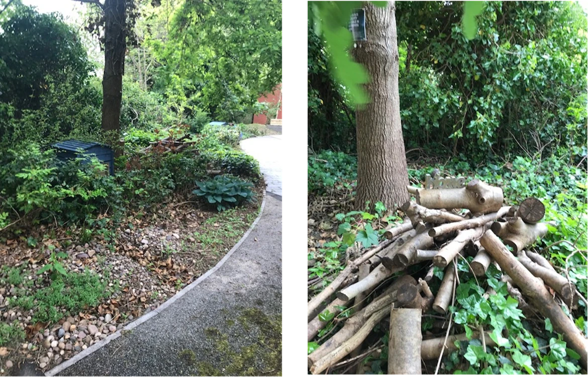 An image of a plant bed with a path beside it and a log pile on some leaves