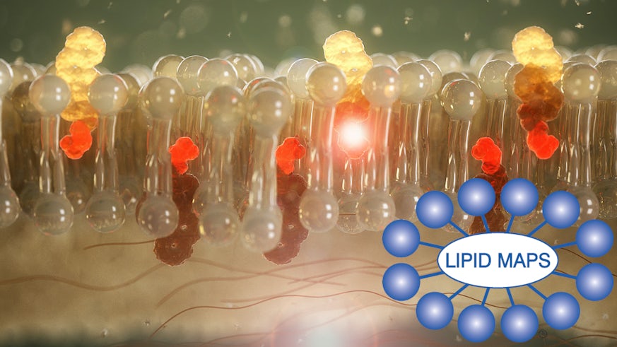 Lipid membrane with LIPID MAPS logo / Bilen lipid gyda logo LIPID MAPS