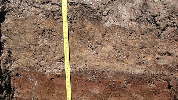 Geological measuring of rock for archaeological purposes  - a yellow ruler lies against a backdrop of rock