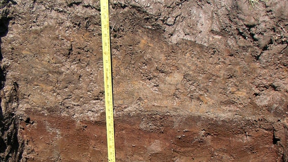 Geological measuring of rock for archaeological purposes - a yellow ruler lies against a backdrop of rock