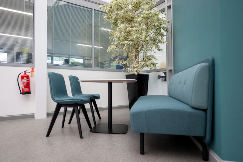 A set of sofas with a plant in the corner