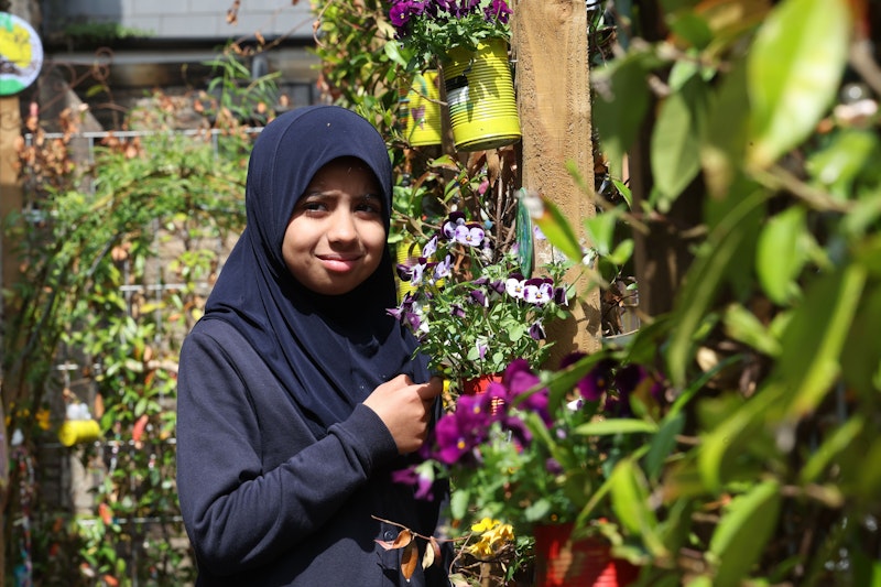 Bee-friendly garden launched at school