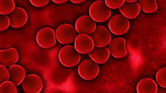 Blood stem cells and Leukaemia: developmental signalling and niche
