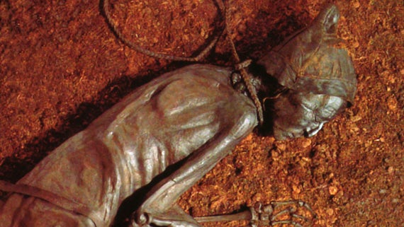 Bog body featured in Bog Bodies Uncovered