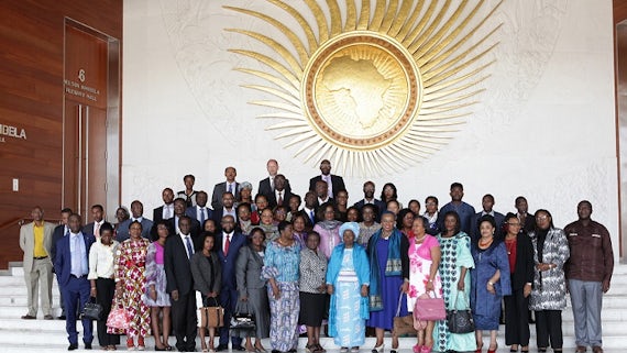 Dr Edwin Egede (pictured centre, back row) with members of the African Union Commission ad hoc experts group.