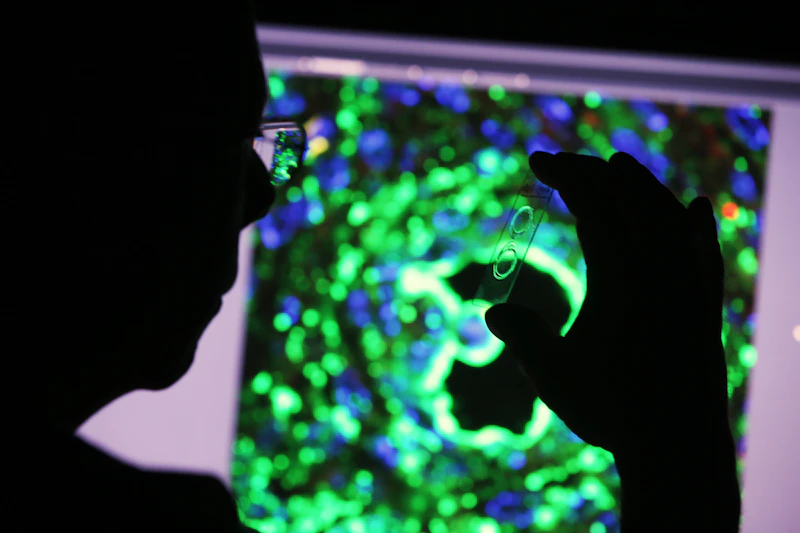 Confocal microscopy