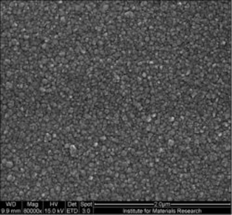 Scanning electron microscope
