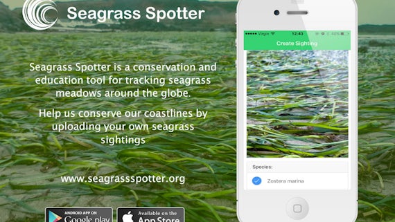 SeagrassSpotter