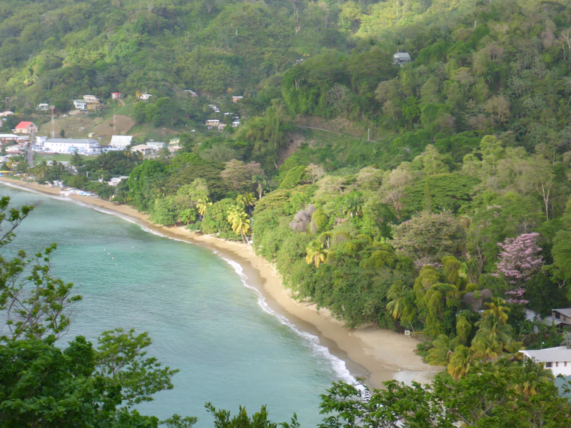 A bay in Tobago, blue see and green trees
