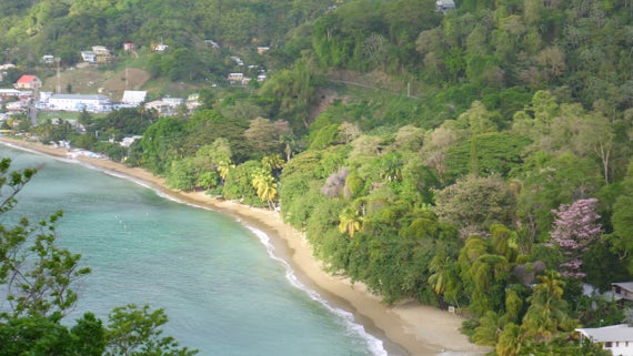 A bay in Tobago, blue see and green trees