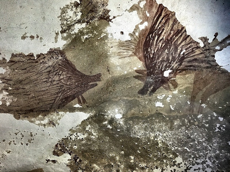 How people moved pigs across the Pacific