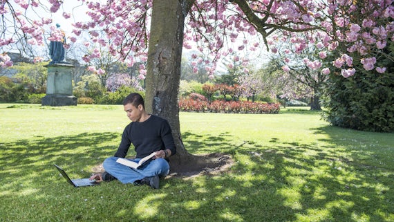 PG student studying in the park