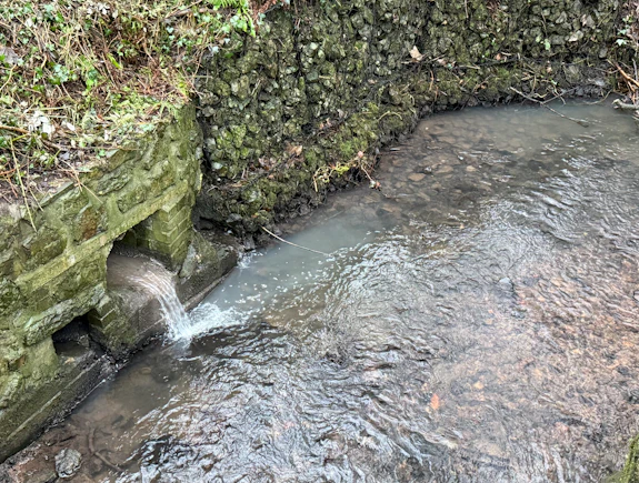A surface drain in Roath Brook, Cardiff