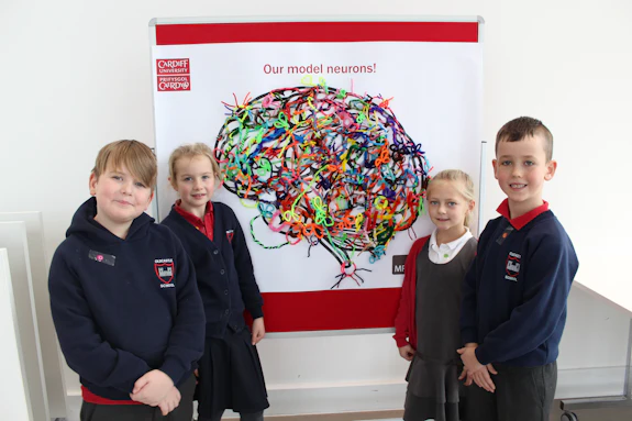 Poster of brain with pipe-cleaner neurons