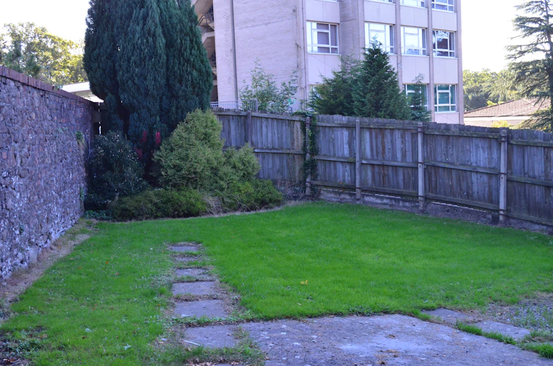 Garden Birchwood