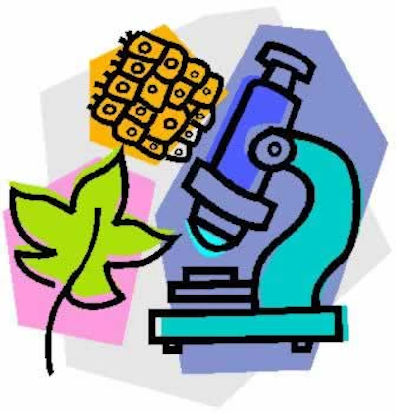 biology clipart