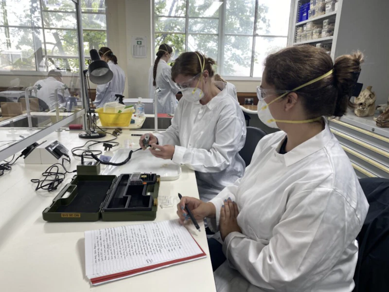 Field Sciences