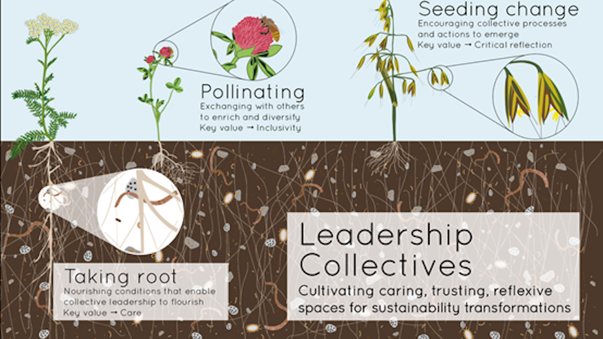 Leadership Collectives