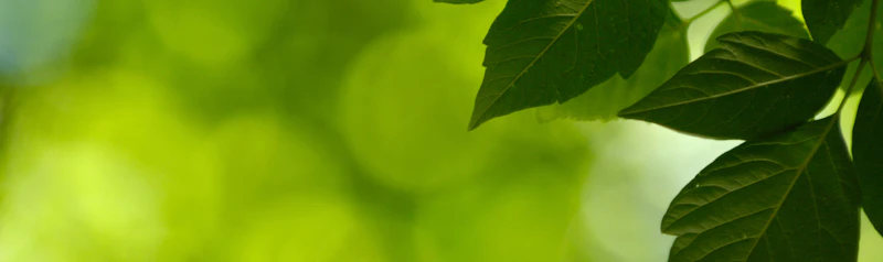 Sustainable Place Research Institute