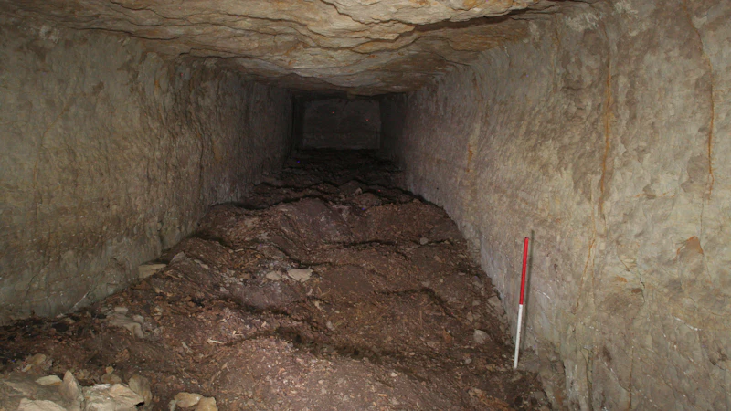 Broken up remains of many hundreds of mummies.
