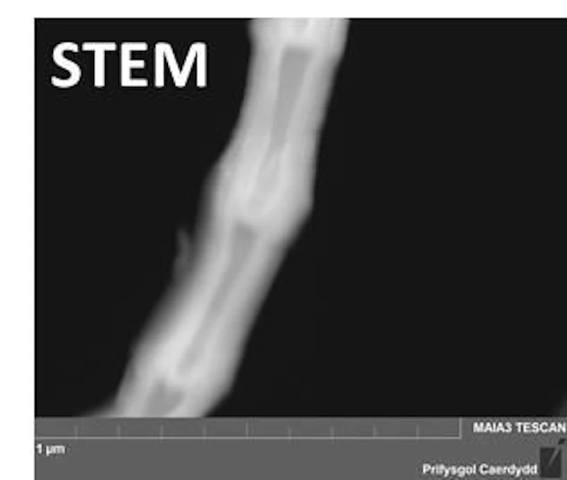 “Herring bone” hollow carbon  nanotube using STEM in SEM