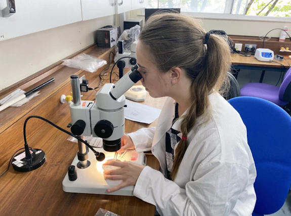 Hands-on laboratory work