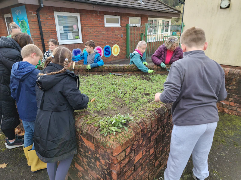 Pupils planting in school