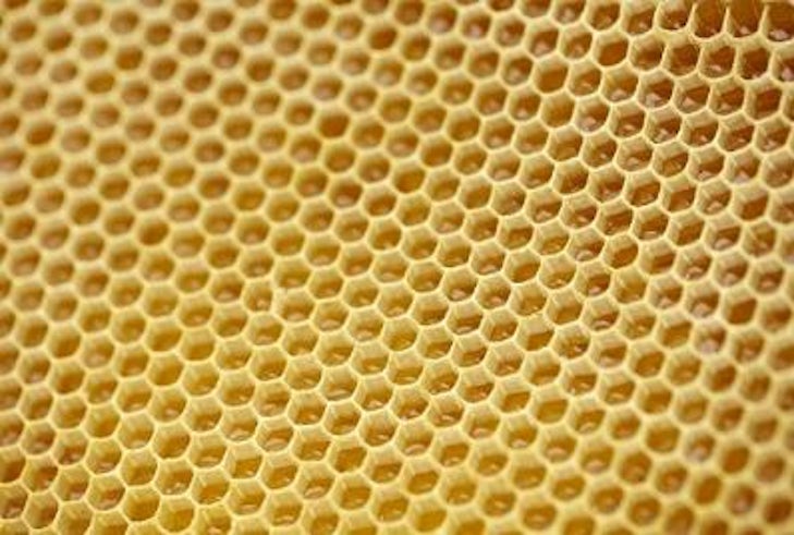 Secrets of bee honeycombs revealed - News - Cardiff University