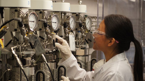 Doctral training in catalysis