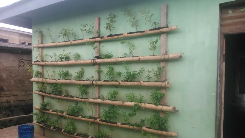 Green wall