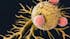 Boosting the cancer-destroying ability of killer T-cells