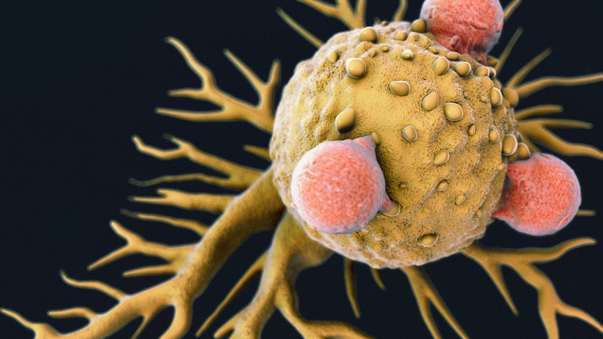 Artist's impression of T-cell