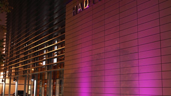 Hadyn Ellis Building - Purple Lights