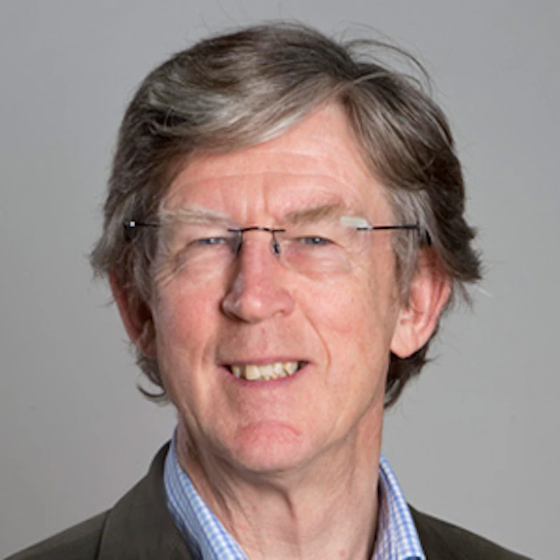 Professor Ian Hargreaves
