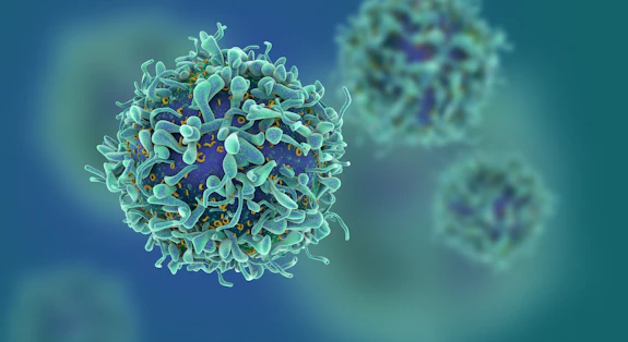 Artist's impression of T-cells