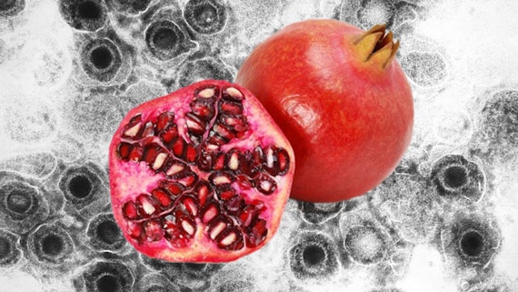 Pomegranate and herpes