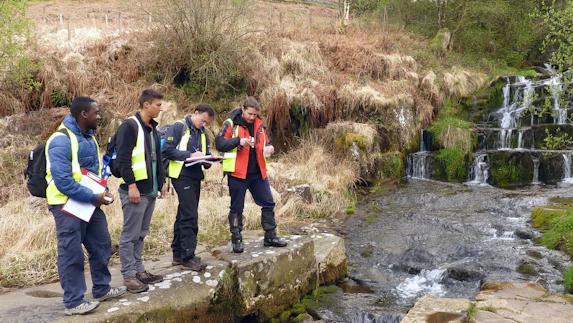 Fieldwork
