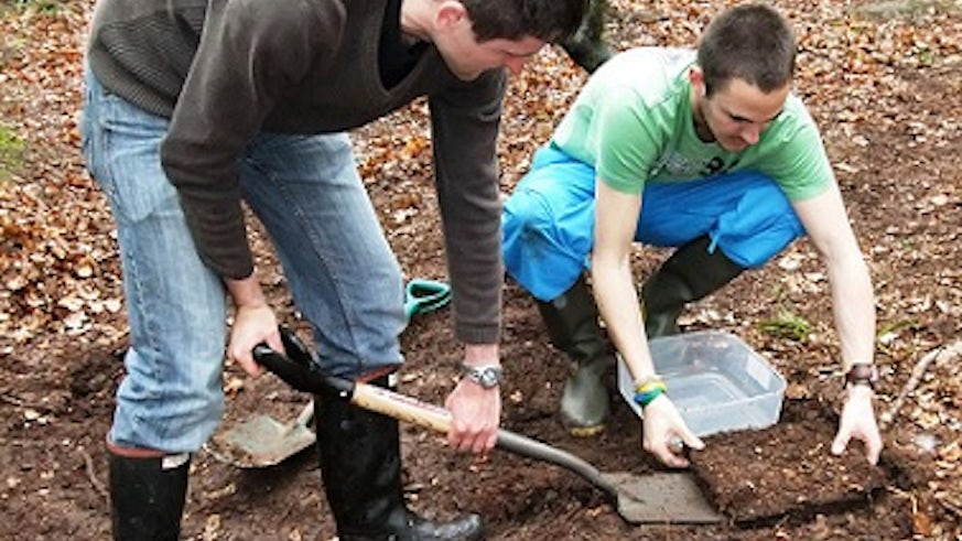 A soil sample being taken from the ground.
