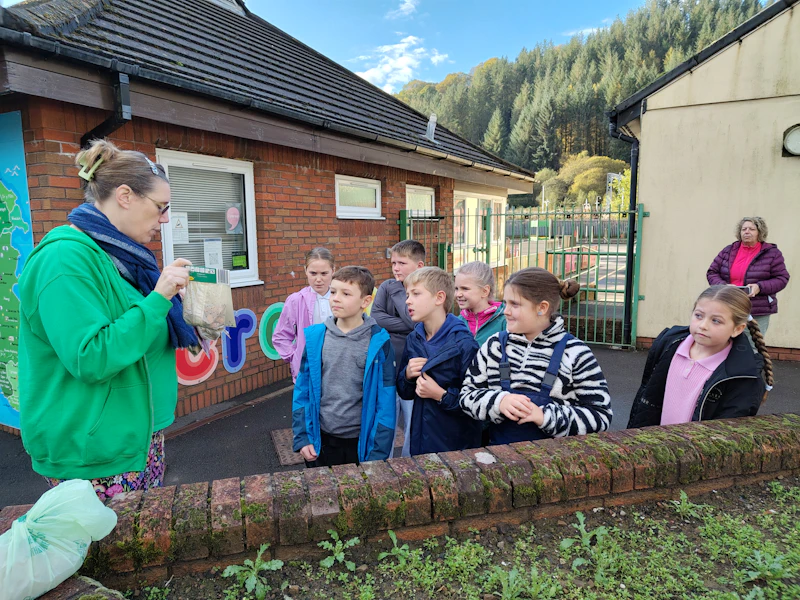 Grow your school lesson