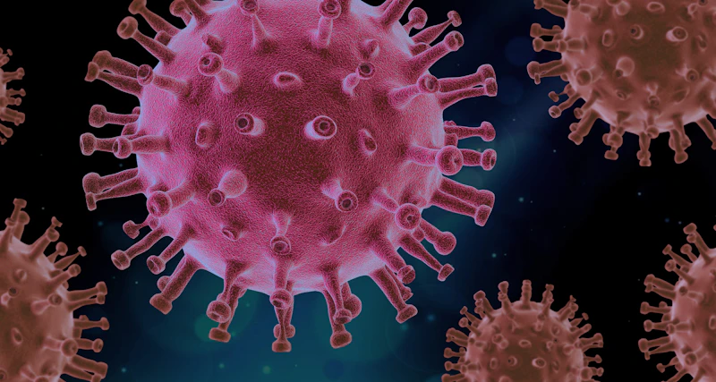Virus covid