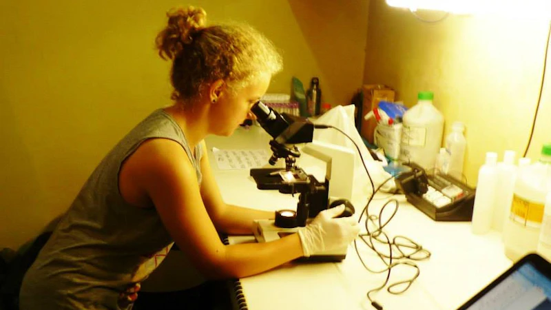 Scientists studio accommodation at Danau Girang