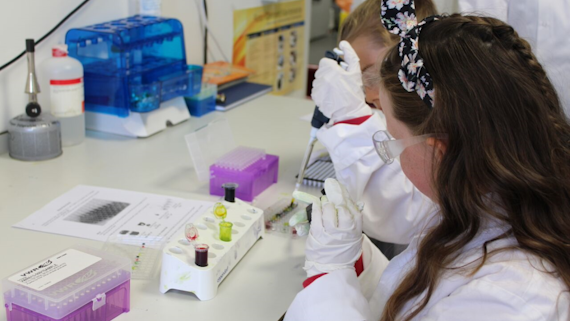 Image of primary school child pipetting food dye