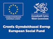 European Social Fund